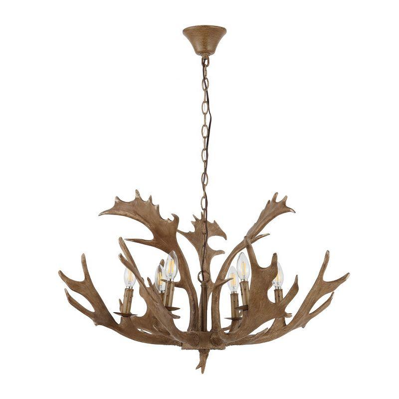 Dresden 6 Light 30" Chandelier - CHA4029 - Brown - Safavieh