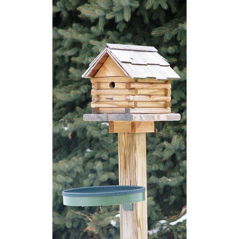 Farm Innovators All Seasons 3 In 1 Outdoor Heated Birdbath