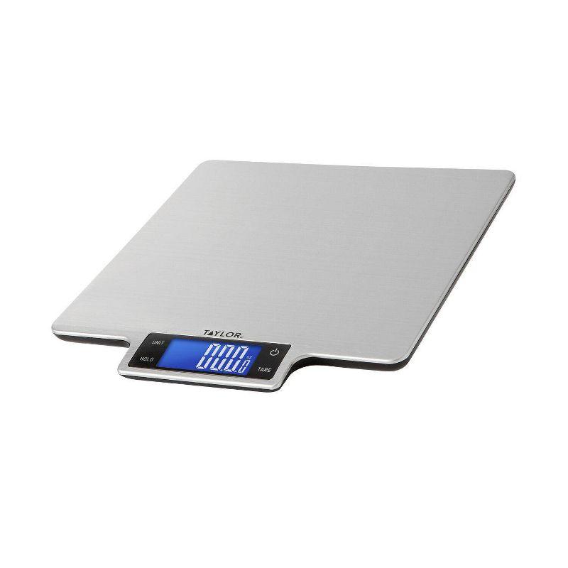 Taylor Taylor 22Lb Ultra-Precise Digital Stainless Steel Household Kitchen Scale, One, Silver