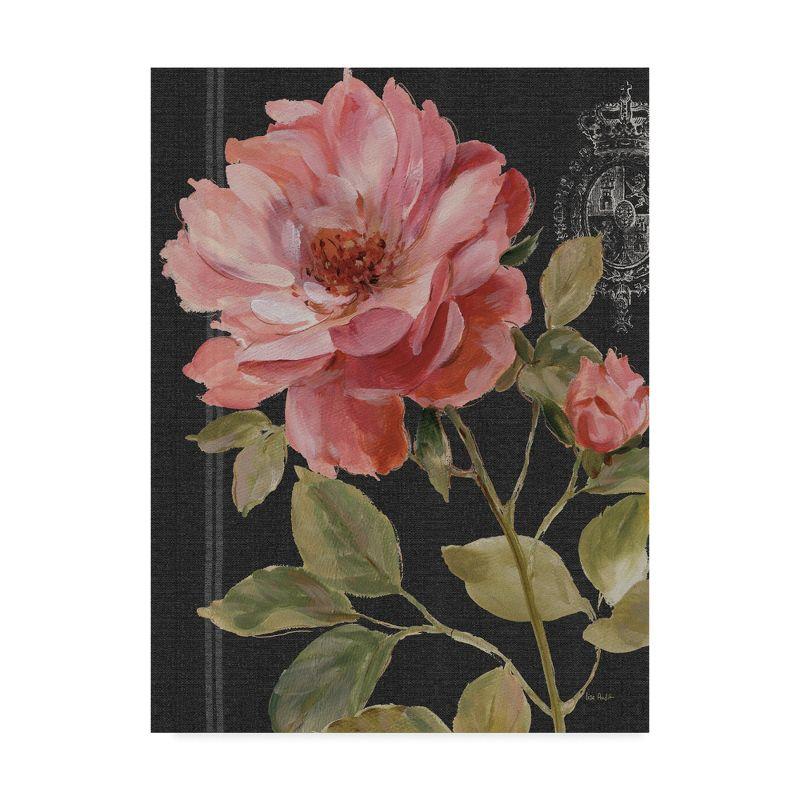 Lisa Audit Harmonious Rose Black Canvas Art 24x32