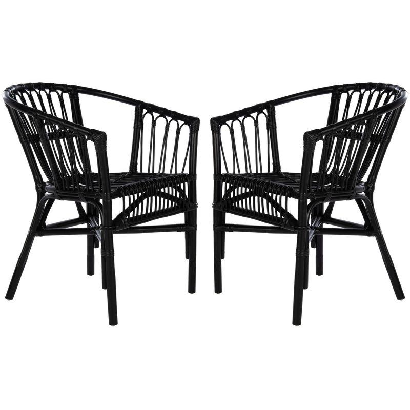 Adriana Rattan Accent Chair - Set of 2 - ACH6505 - Black - Safavieh