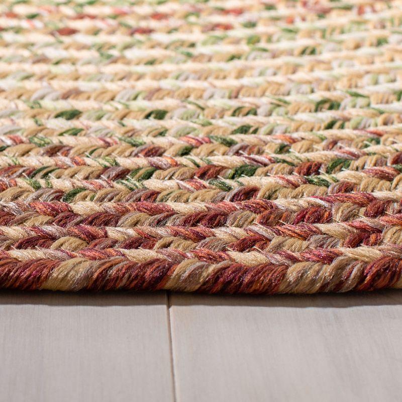 Braided BRD303 Hand Woven Area Rug  - Safavieh