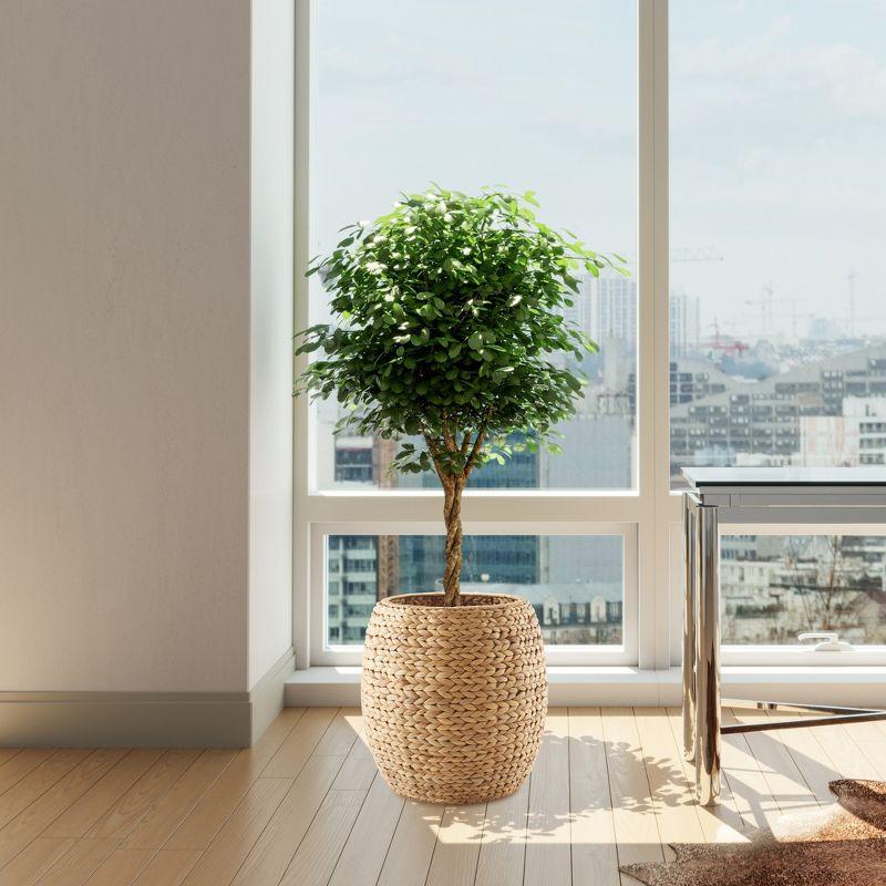 Natural Water Hyacinth Round Storage Basket with Lid