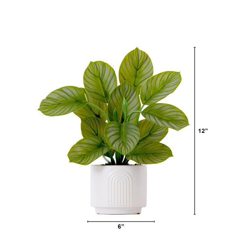 Nearly Natural Green Calathea Potted Plant in White Planter