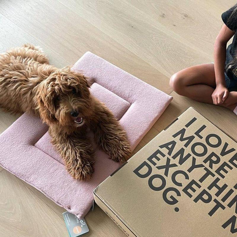 KindTail PAWD Cat and Dog Crate Pad - M - Pink