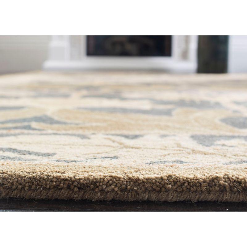 Anatolia AN541 Hand Tufted Area Rug  - Safavieh