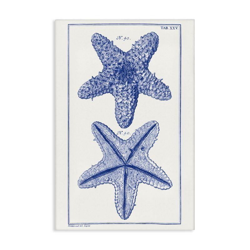 Stupell Industries Blue Starfish Studies, 16" x 24"