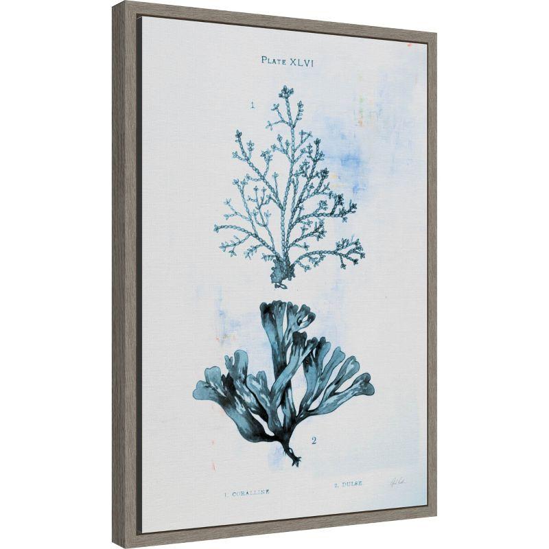 Winston Porter Blue Bay VIII by Deborah Revell Framed Canvas Wall Art Print