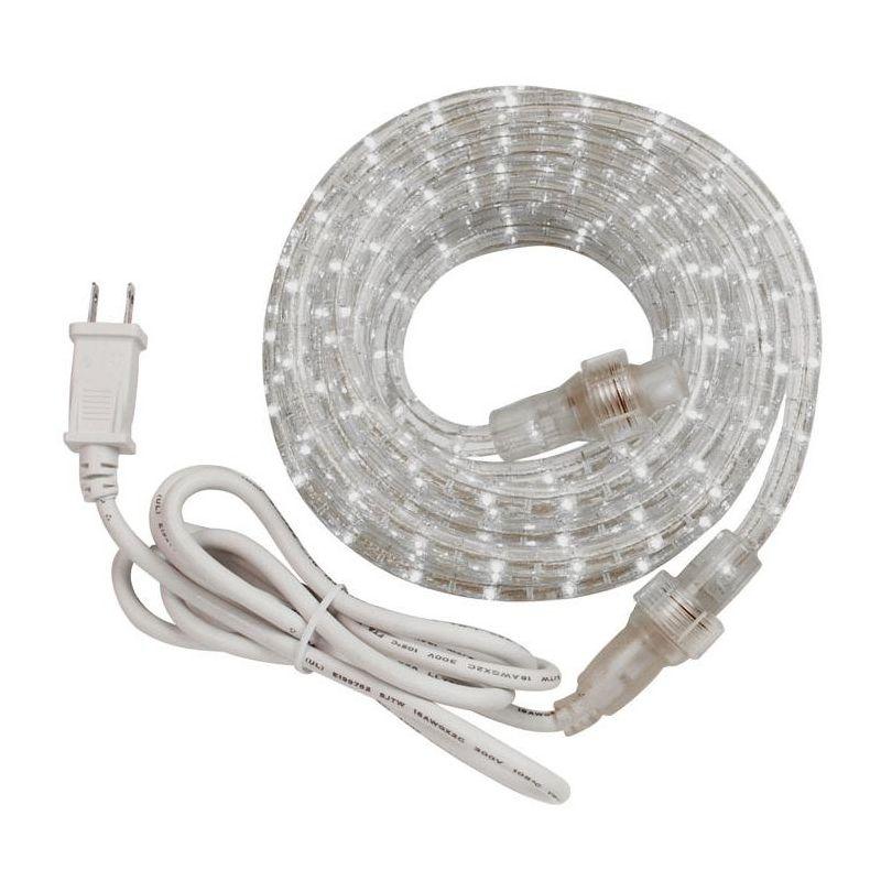 6 ft. Cool White LED Rope Light with Clear Tubing