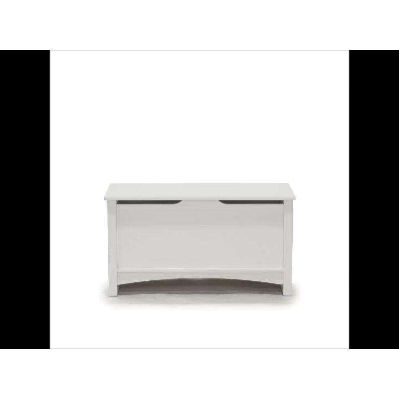 Shoal Creek Storage Chest with Lid Stay Safety - Soft White - Sauder