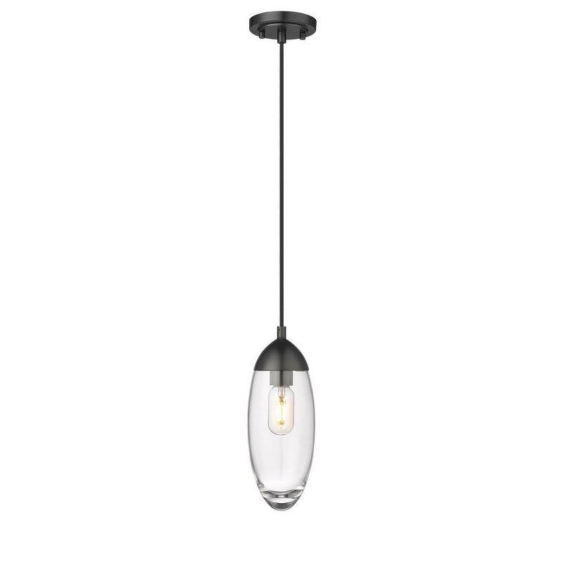 Z-Lite Arden 1 - Light Pendant in  Matte Black