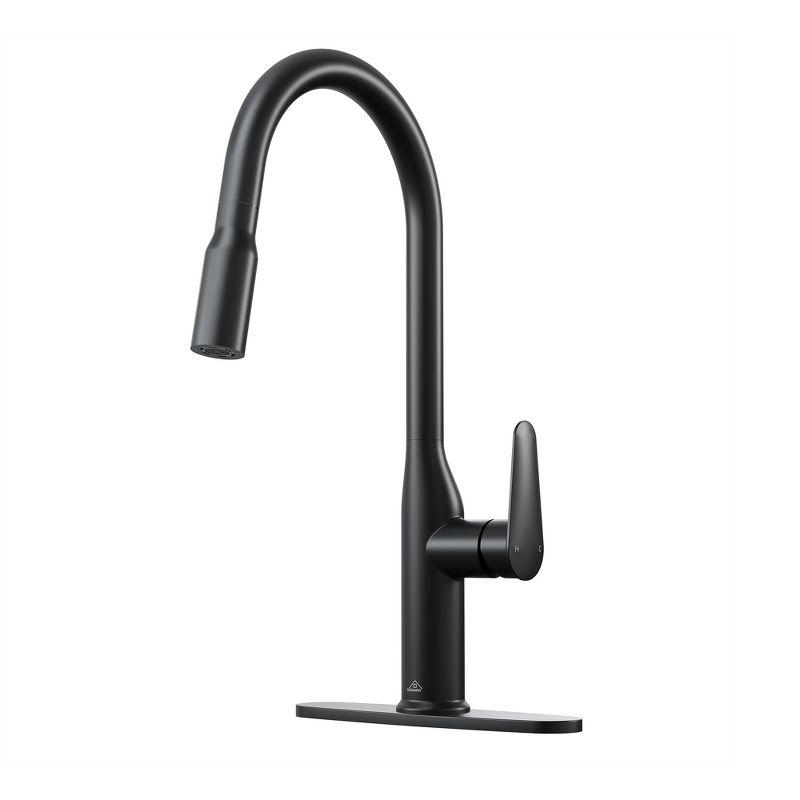 CASAINC Single-Handle Pull-Down Kitchen Faucet Single Hole Faucet