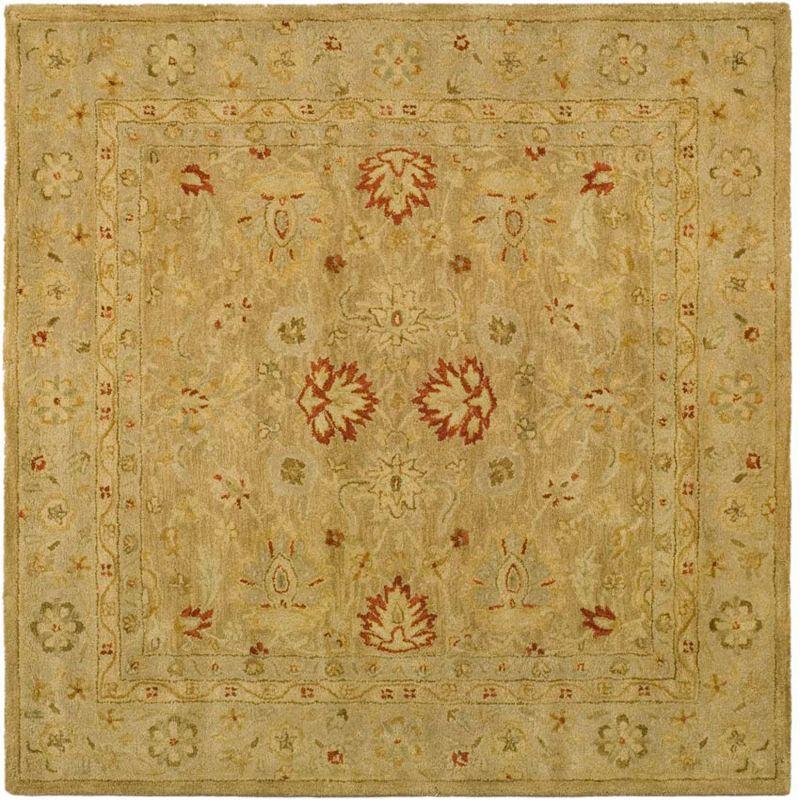 Antiquity AT822 Hand Tufted Area Rug  - Safavieh