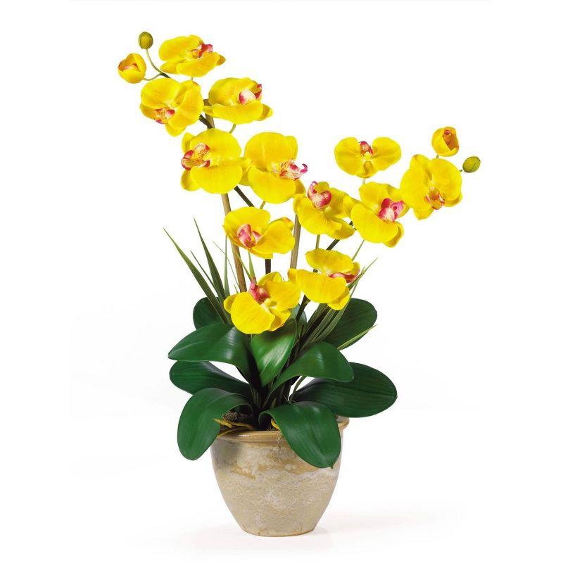 Multicolor 25" Double Stem Phalaenopsis Silk Orchid in Ceramic Vase