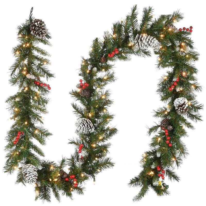 The Holiday Aisle® 9ft. Leavon Garland with Clear Lights