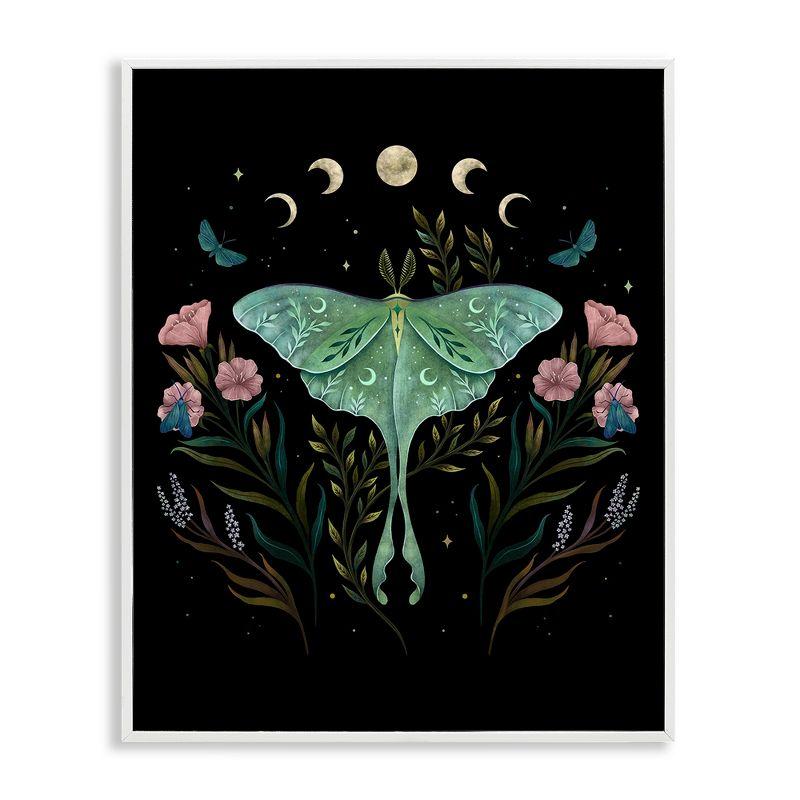 Stupell Industries Luna Moth with Florals Framed Giclee Art by Episodic Drawings