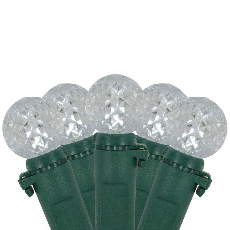 Northlight LED G12 Berry Christmas Lights - Pure White - 16' Green Wire - 50 ct