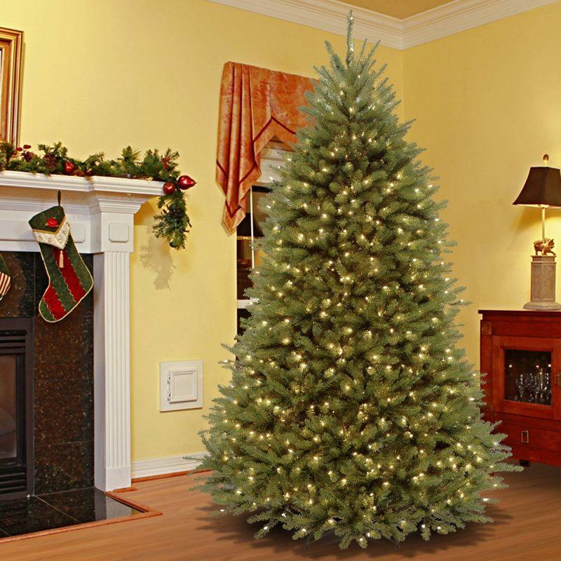 6.5ft National Christmas Tree Company Pre-Lit Dunhill Fir Christmas Tree with 650 Clear Lights & Powerconnect