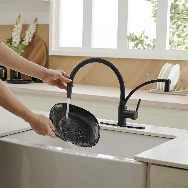 Pull Down Single Handle Kitchen Faucet with Accessories