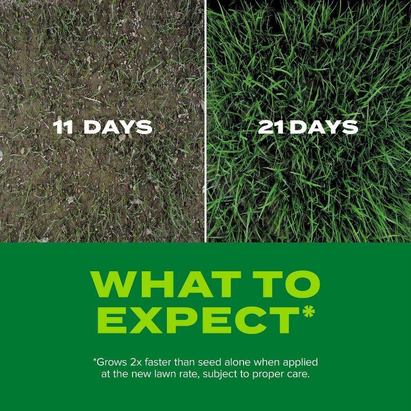 Scotts Turf Builder Rapid Grass Seed Tall Fescue Mix - 5.6lb