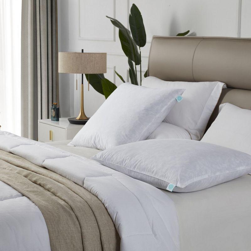Martha Stewart Martha Stewart 20X20'' Decorative Feather Pillow Insert (2PK) - Medium Firm (Set of 2)