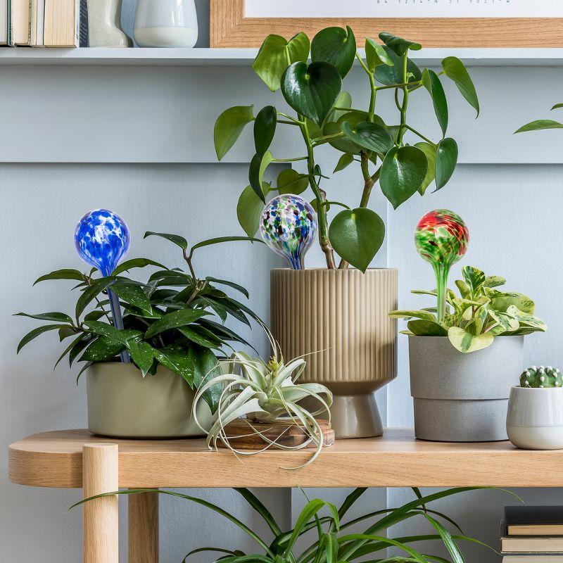 Hand-Blown Glass Self-Watering Aqua Globes for Plants