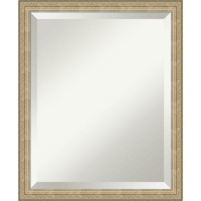 Paris Champagne Bronze Brushed Framed Wall Mirror