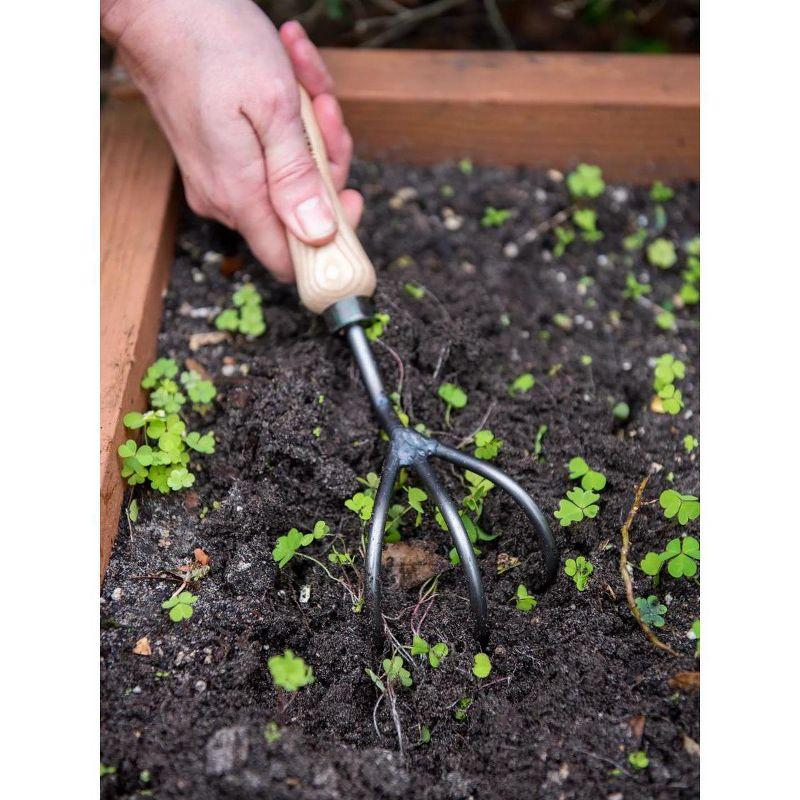 Gardener's Supply Company Lifetime Garden Cultivator | Heavy Duty Forged Steel with Ergonomic Hardwood Handle | Gardening Hand Tool for Weeding and