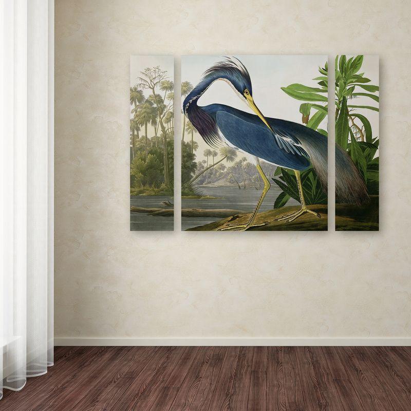 Trademark Fine Art -John James Audubon 'Louisiana Heron' Canvas Art