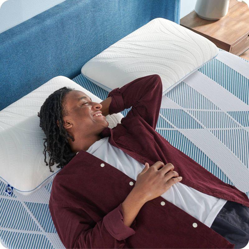 Sealy Sealy Dreamlife 12” Plush Foam Mattress-in-a-Box