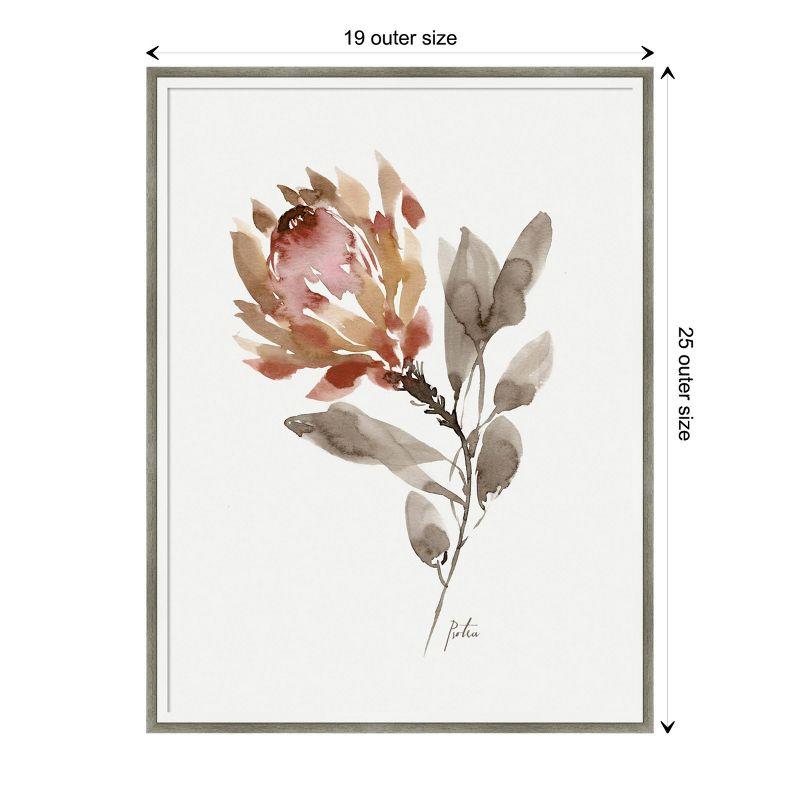 19" x 25" Wild King Protea by Sara Berrenson Wood Framed Wall Art Print - Amanti Art: Modern Botanical Lithograph, Hardwood Frame