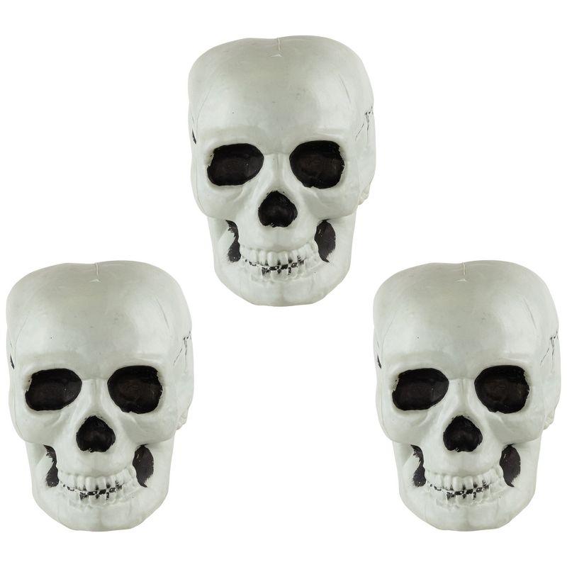 Set of 3 Realistic Plastic Halloween Skull Decorations