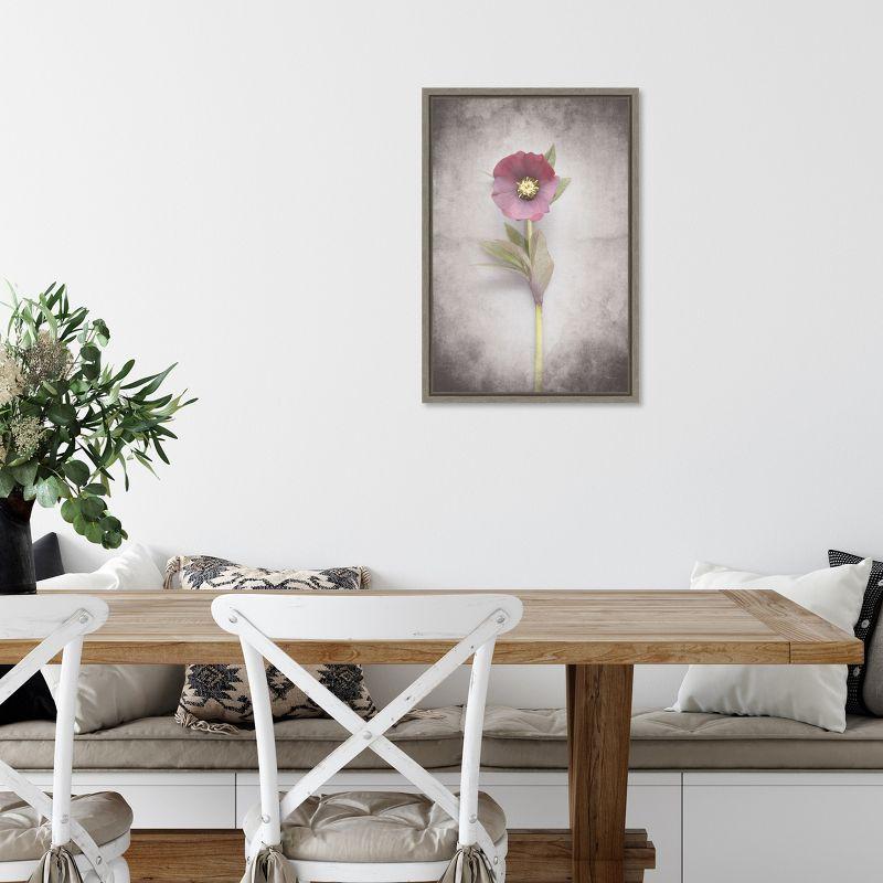 Amanti Art Vintage Hellebore Study VI by Felicity Bradley Framed Canvas Wall Art