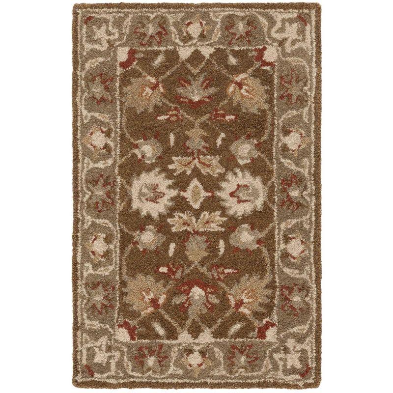 Anatolia AN512 Hand Tufted Indoor Accent Rug - Brown/Green - 2'x3' - Safavieh