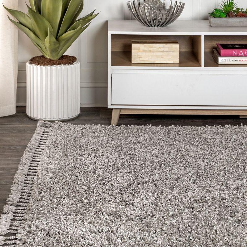 3'x5' Mercer Shag Plush Tassel Area Rug, Grey - JONATHAN Y