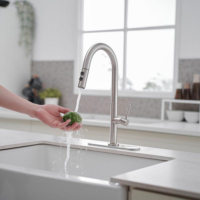 VIBRANTBATH Pull Out Kitchen Faucet