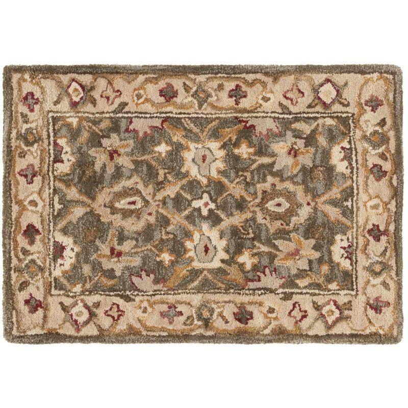 Anatolia AN516 Hand Tufted Indoor Accent Rug - Brown/Ivory - 2'x3' - Safavieh