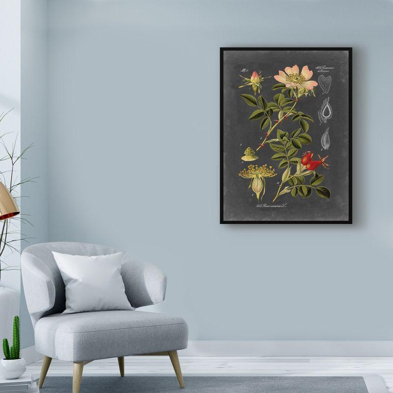 Trademark Fine Art -Vision Studio 'Midnight Botanical I' Canvas Art