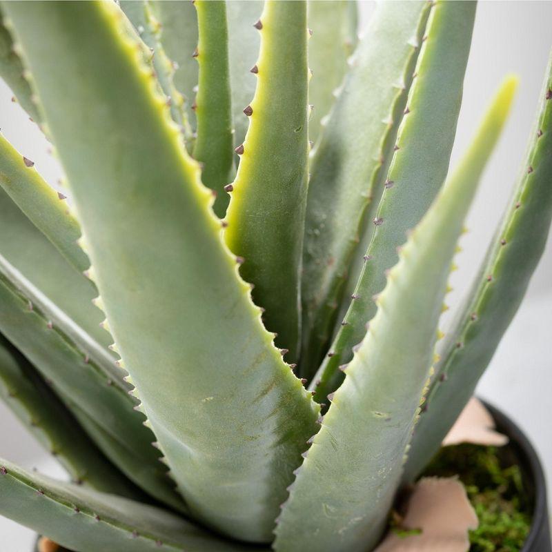 Sullivans Artificial 24" Potted Aloe Plant