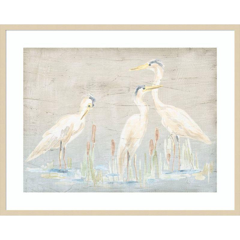 Amanti Art Driftwood Waterbirds II by June Erica Vess Wood Framed Wall Art Print