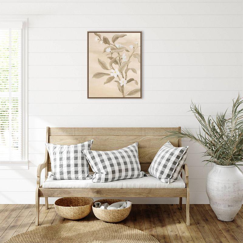 Sepia Orange Blossom Sketch II Canvas Wall Art with Bronze Frame