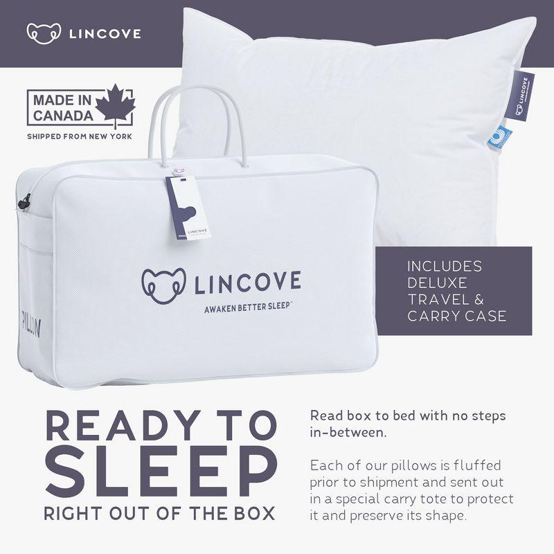 Lincove Cloud Canadian Down Luxury Sleeping  Pillow - 625 Fill Power, 500 Thread Count Cotton Sateen Shell, King - Soft, 2 Pack