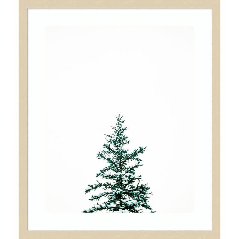 Amanti Art 21"x25" Winter Trees V by Justine Milton Wood Framed Wall Art Print