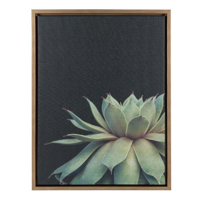 Gold Framed Succulent Canvas Wall Art, 18x24