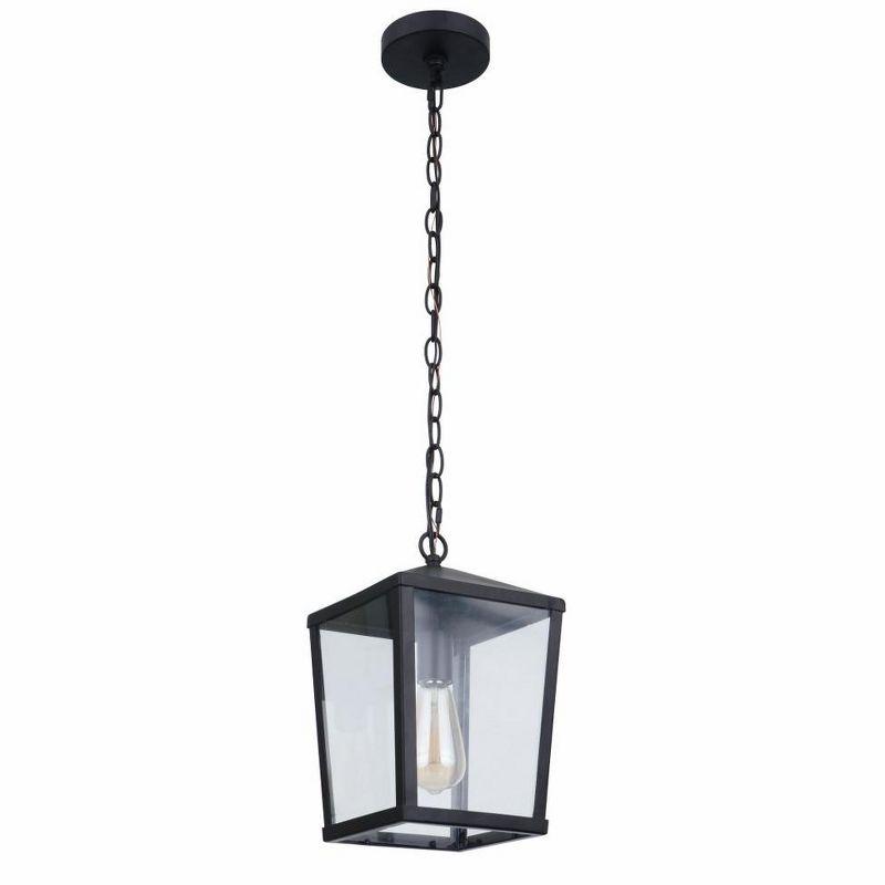 Midnight Black Glass 1-Light Outdoor Pendant