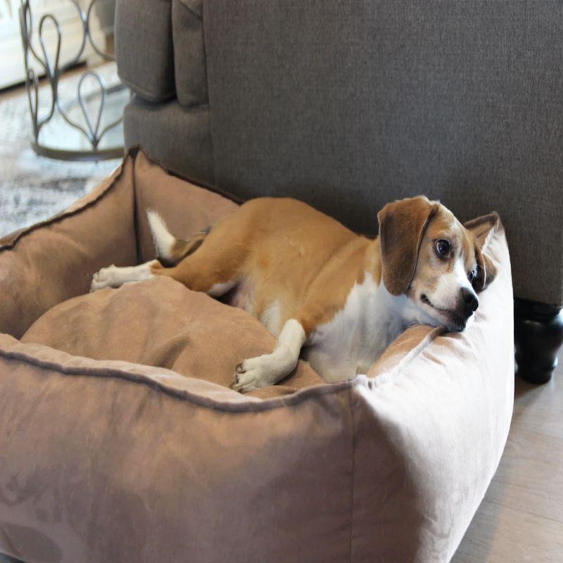 BuddyRest Faux Suede Pet Bed