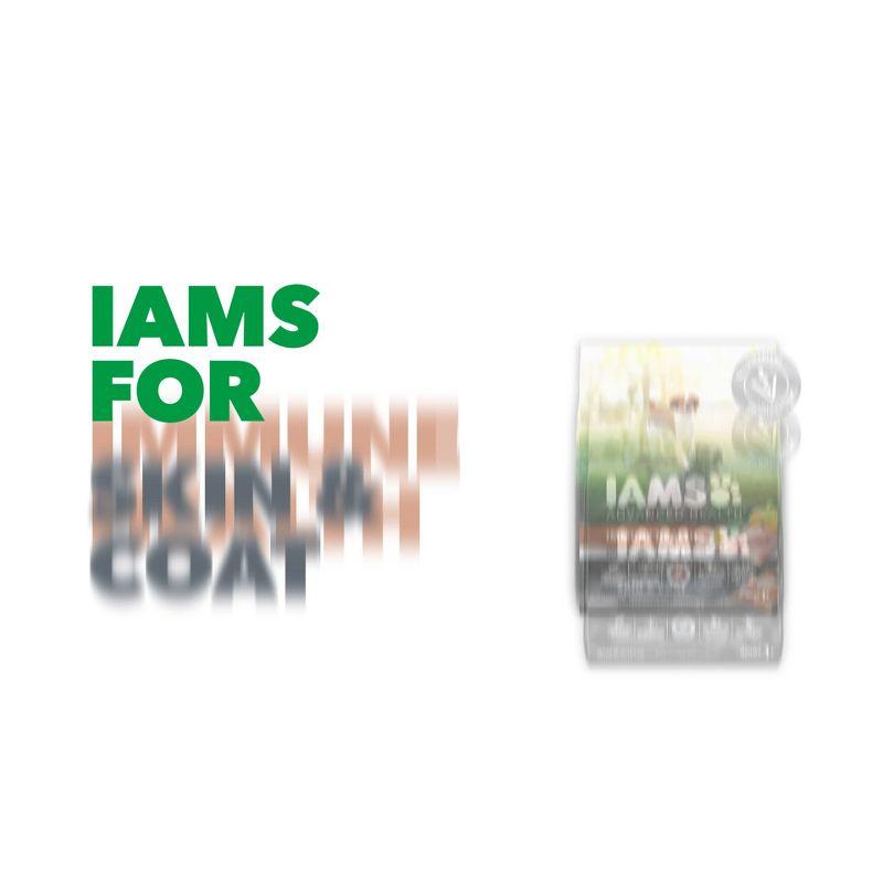 IAMS Proactive Health Chicken and Whole Grain Flavor Minichunks Dry Dog Food