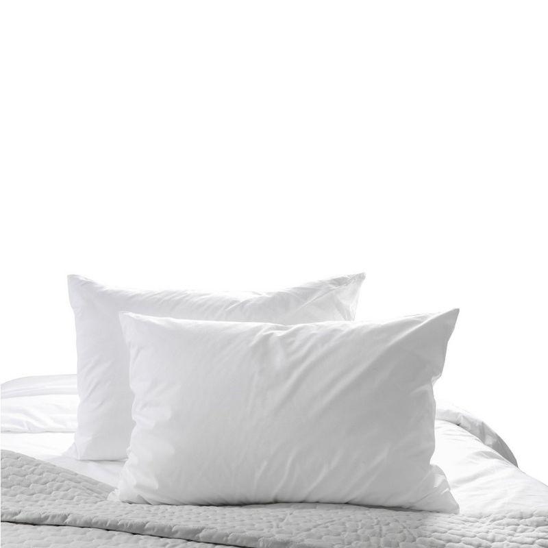 20" x 20" White Cotton Feather Down Pillow Inserts - Set of 2