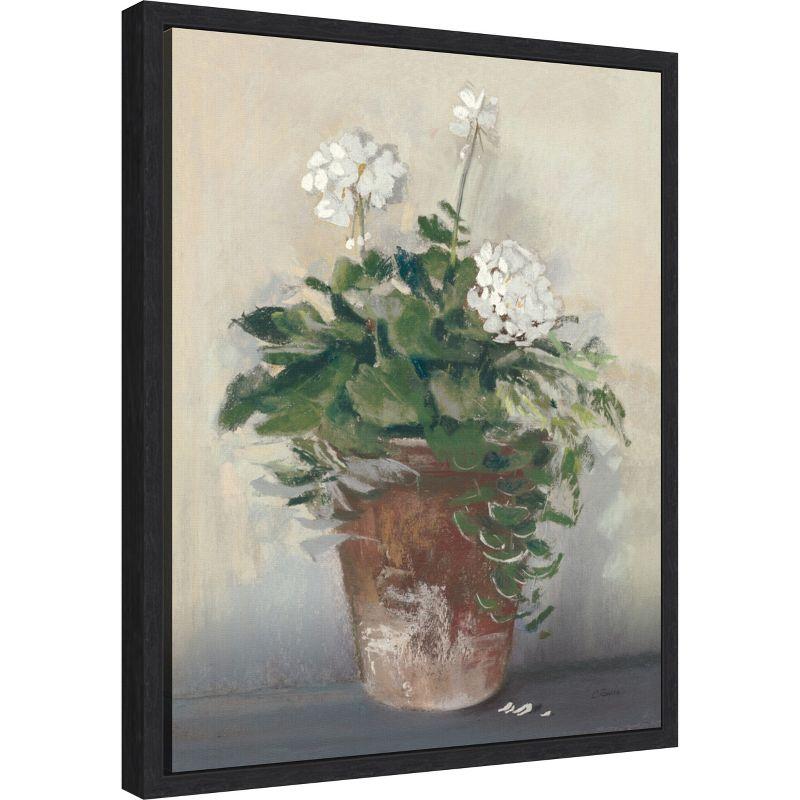 Amanti Art Pot of White Geraniums by Carol Rowan Framed Canvas Wall Art