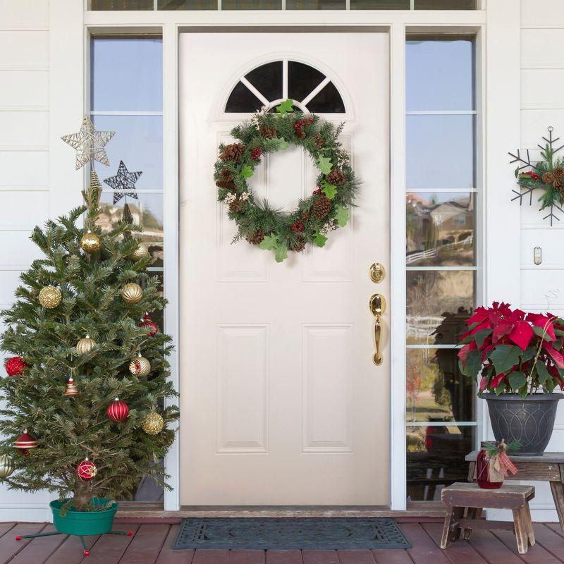 24" Pre-Lit Decorated Frosted Pine Cone and Berries Artificial Christmas Wreath